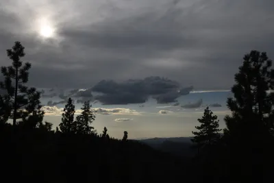 DSC_4496 (Large).JPG